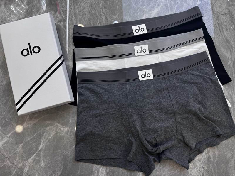 Alo boxer 14